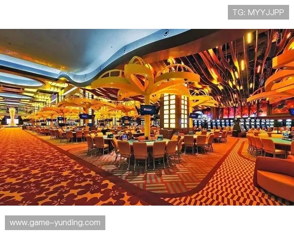 云顶赌场的数量变化趋势及未来发展规划详解