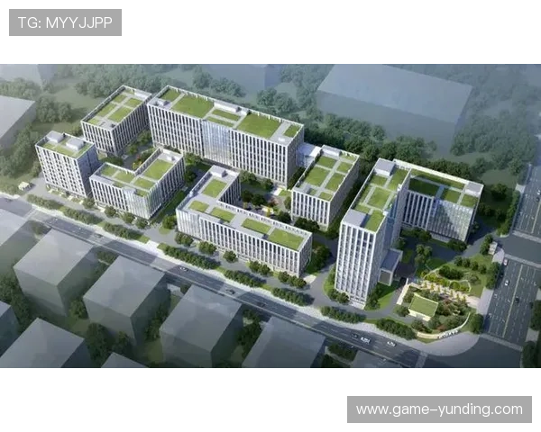 云顶新耀官网平台客服支持与常见问题解决方案详解